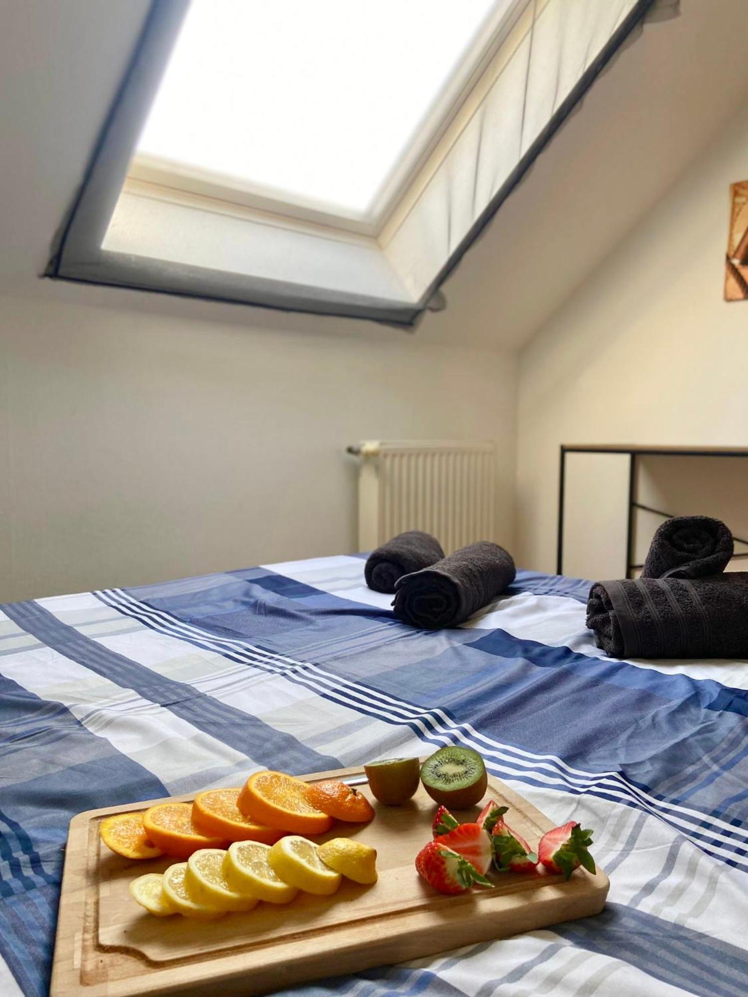 L'Escale, Proche Suisse, Parking Apartment Hesingue Ngoại thất bức ảnh